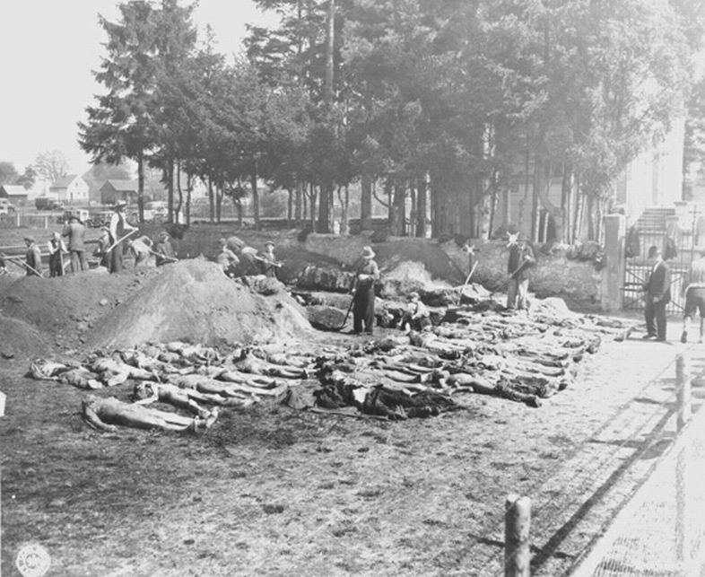 Signal Corps Photos: Bodies at the Grave Trench Site